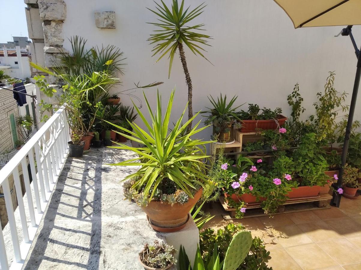 Attica B&B Terlizzi Ngoại thất bức ảnh